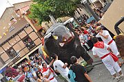 2012_Cangrejo_Desfile_187